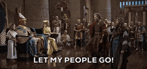 let my people go GIF by David