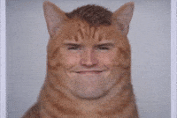 Chad Bizzarre GIF
