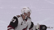 happy ice hockey GIF by NHL