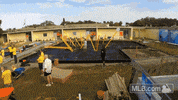 tb GIF by MLB