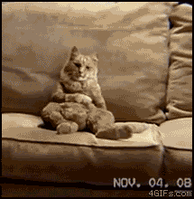 GIF by Demic