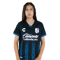 Siempre Gallos Sticker by Club Querétaro