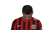 Frankfurt Sge Sticker by Bundesliga