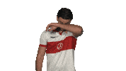 Vfb Stuttgart Vbl Sticker by Bundesliga