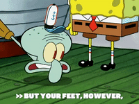season 6 gullible pants GIF by SpongeBob SquarePants
