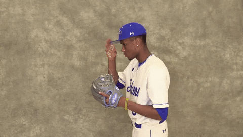 Cuw GIF by CUWFalcons