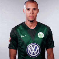 red card no GIF by VfL Wolfsburg