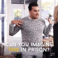 Imagine Pop Tv GIF by Schitt's Creek