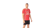 swiss_volley svmnt Sticker