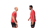 swiss_volley svmnt Sticker