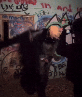 Walk Xavier GIF