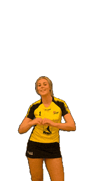 Korfbal Sticker by Korfbalvereniging Tempo