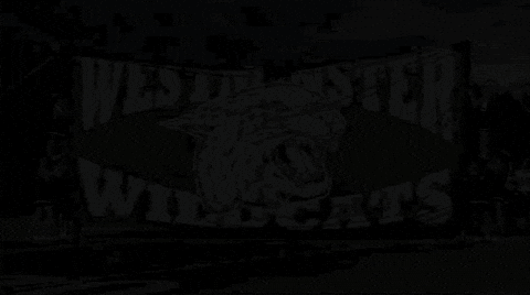 wildcats thewestminsterschools GIF by Westminster