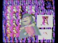 Skarmuse cat cats vhs video art GIF