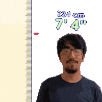7 Foot 7Ft Sticker