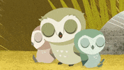 #puffin #rock #puffinrock #thehoots #sleepy #owls #we're awake GIF by Puffin Rock