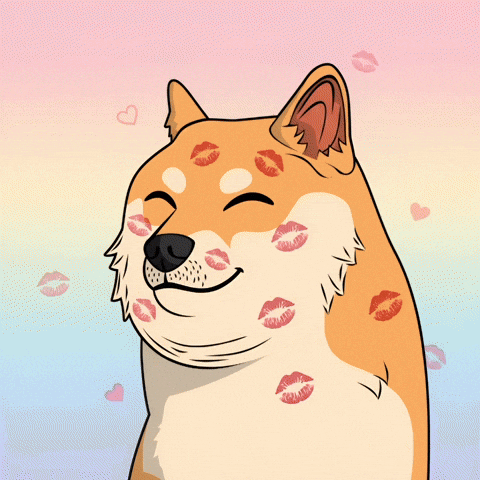Valentines Day Love GIF by Doge Pound