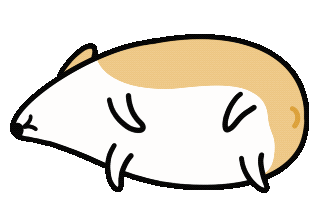 Walkingtomi giphyupload dog no corgi Sticker