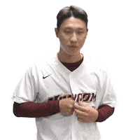 키움히어로즈 Sticker by Kiwoom Heroes Baseball Club