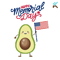 Memorial Day Sticker by Keto-Mojo