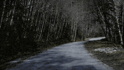 GIF by Wayward Pines