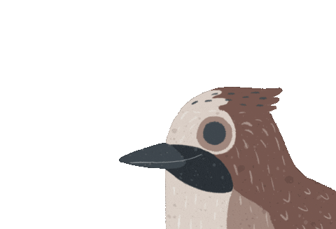 Bird Jay Sticker by Сойкин след