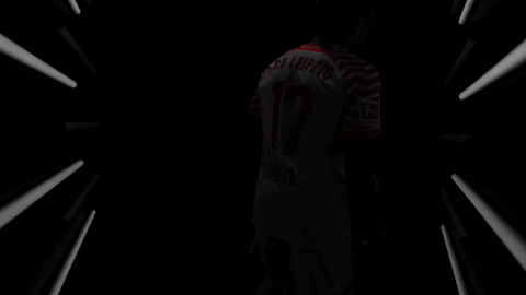 Germany Football GIF by Bundesliga