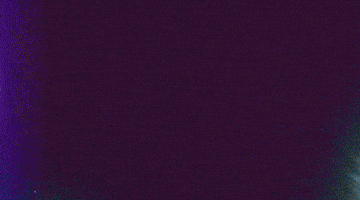 PapaSalt dance music party summer GIF