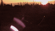 not2bad GIF by EchoBoom Sports