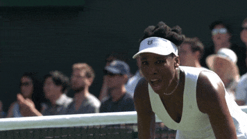 come on tennis GIF by Wimbledon