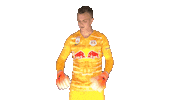 Philipp Koehn Sticker by FC Red Bull Salzburg