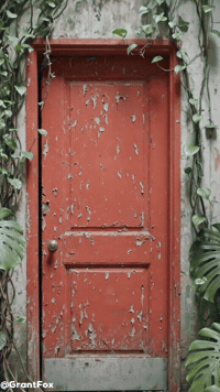 Pick A Door GIF
