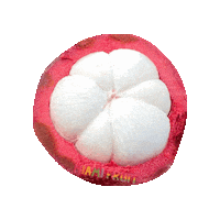 Mangosteen Sticker by Miami Fruit