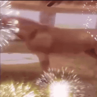 Horse GIF by Respective