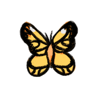 fun fly Sticker by Ivo Adventures