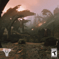 Destiny 2 Pvp GIF by DestinyTheGame