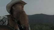 gethenjenkins party music video whiskey campfire GIF