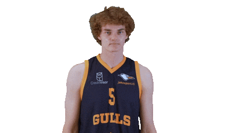 Sport Basketball Sticker by Basket_fi