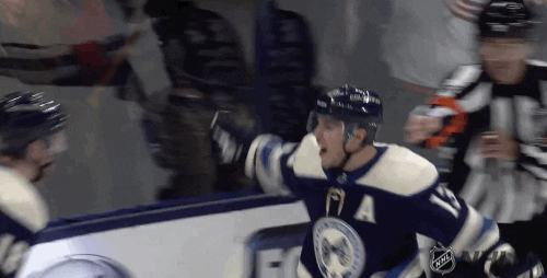 Ice Hockey Sport GIF by NHL