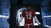 College Football GIF by gamecocksonline