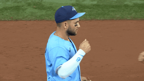 Blue Jays Baseball GIF by Toronto Blue Jays