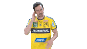 Handball-Bundesliga Dj Sticker by LIQUI MOLY HBL