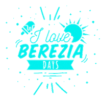 Icecream Heladosartesanales Sticker by Heladerías Berezia