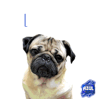 dog fiesta Sticker by Jose Cuervo