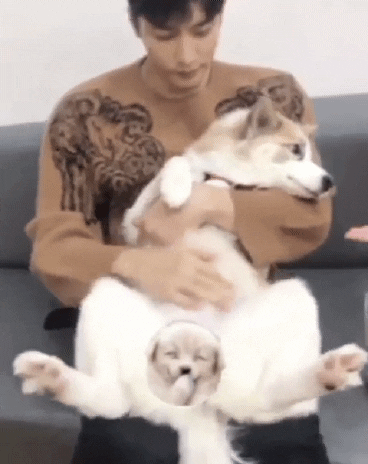 ehdgus1211 giphyupload GIF
