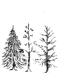 amberartistry love art artist tree Sticker