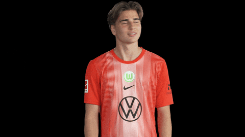 Bundesliga No GIF by VfL Wolfsburg
