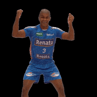VoleiRenata volei torcida voleirenata GIF