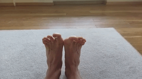 svitlanayevsieieva giphyupload GIF