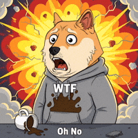 Oh No Wtf GIF by Doge Pound